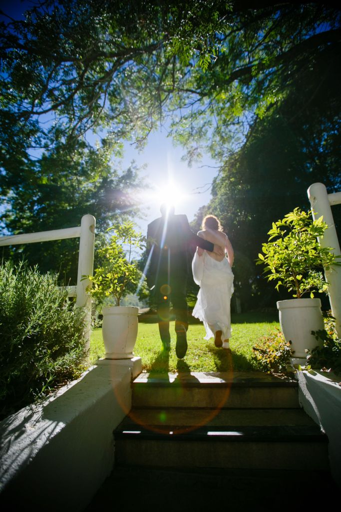 bride and groom step towards the sun as they ascend stairs under the shade of a large tree